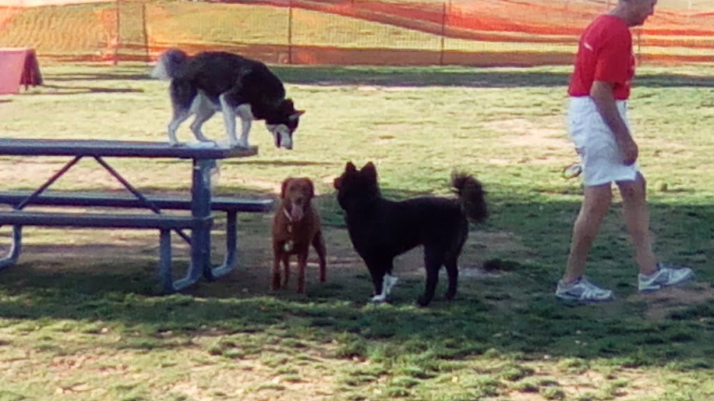 Large Dog Park | Surprise, AZ 85374, USA | Phone: (623) 222-2000