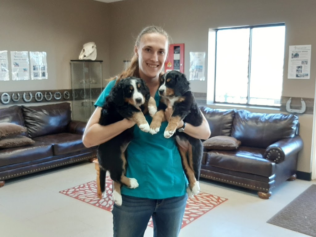 The Small Animal Clinic at Colorado Equine | 9616 W Titan Rd, Littleton, CO 80125, USA | Phone: (303) 791-0195