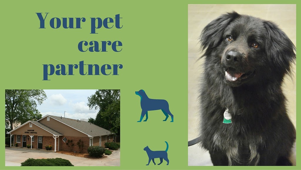 Fairview Animal Hospital | 2784 E Atlanta Rd, Ellenwood, GA 30294, USA | Phone: (770) 389-9757