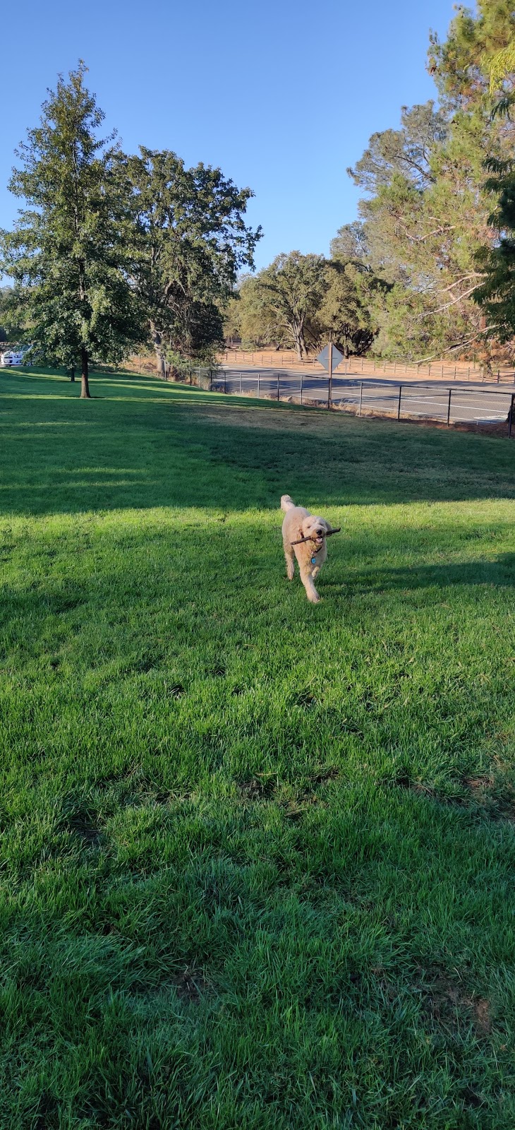 William C. "Bill" McCabe Park | 2581 Hoffman Ct, El Dorado Hills, CA 95762, USA | Phone: (916) 933-6624