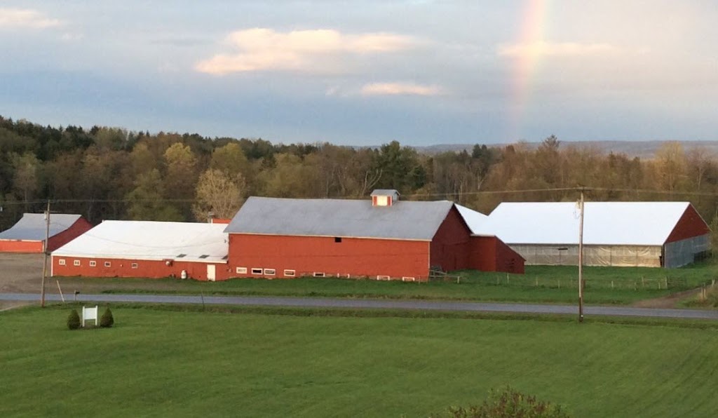 Empire Livestock Marketing | 6732 Pickup Hill Rd, Cherry Creek, NY 14723, USA | Phone: (716) 296-5041