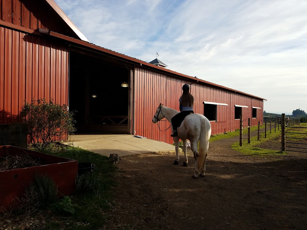 Petes Place Equestrian Training & Boarding | 22262 SW Stafford Rd, Tualatin, OR 97062, USA | Phone: (503) 927-7190