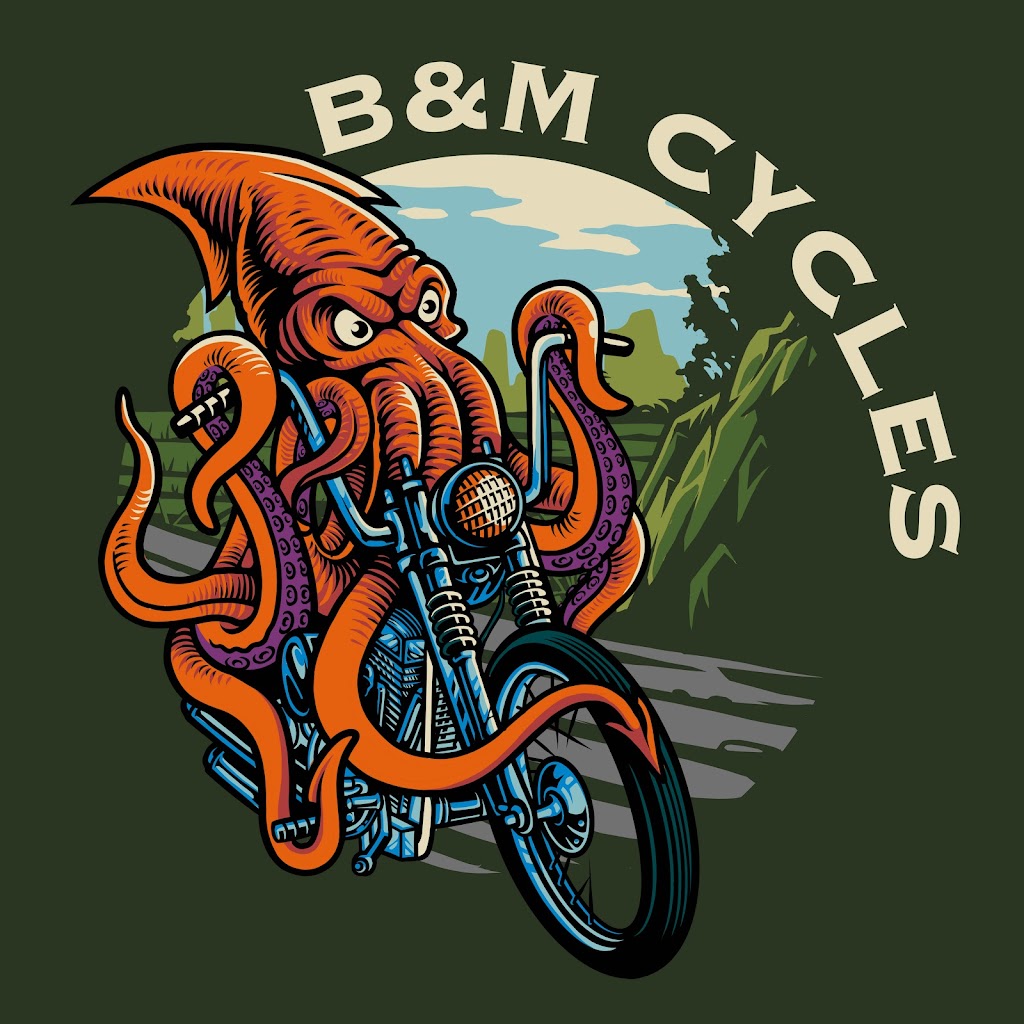 B&M Cycles | 2960 W Hwy 199 Suite 103, Springtown, TX 76082, USA | Phone: (682) 842-1400