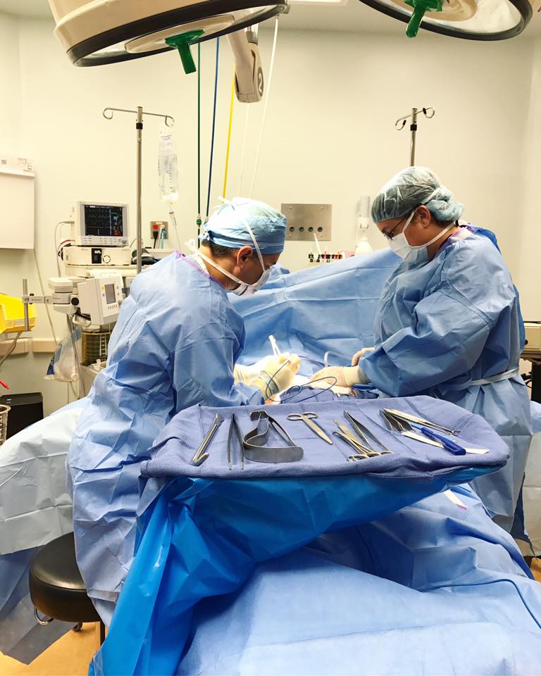 Soler Cosmetic Plastic Surgery | 13015 W Linebaugh Ave #102, Tampa, FL 33626, USA | Phone: (813) 703-6216