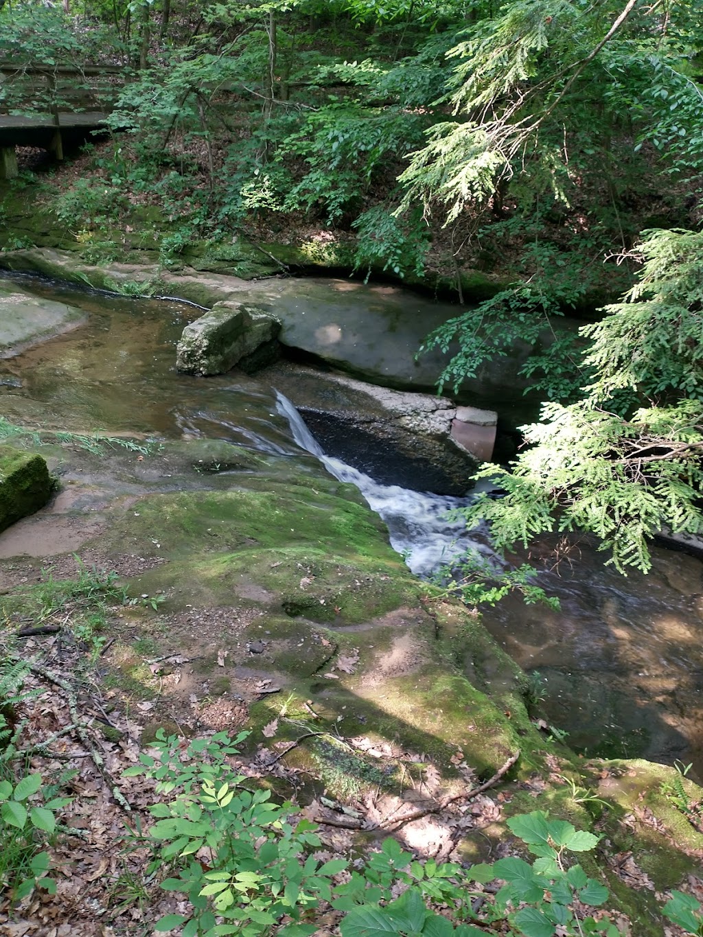 Fleming Falls Preserve | 2276 Fleming Falls Rd, Mansfield, OH 44903, USA | Phone: (419) 884-3764