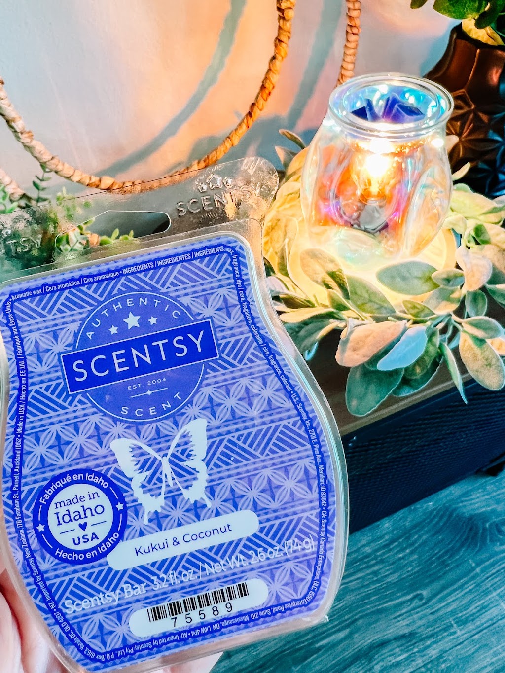 Michele Zubak- Independent Scentsy Director | Castilian Ct, Fallbrook, CA 92028, USA | Phone: (619) 320-1800