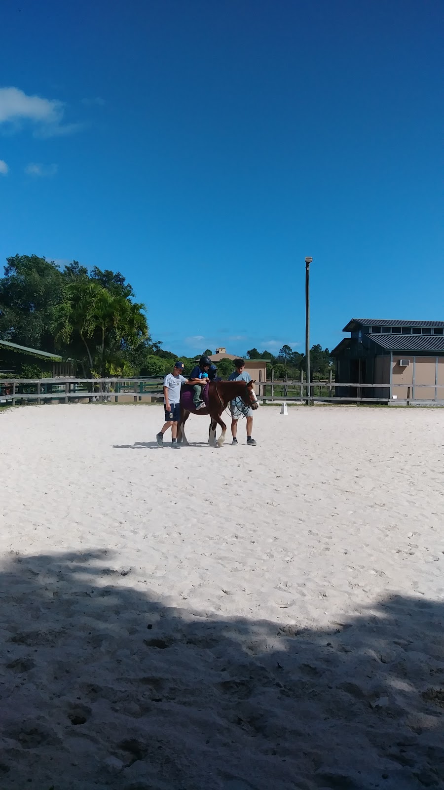 Good Hope Equestrian Training Center | 22155 SW 147th Ave, Miami, FL 33170, USA | Phone: (305) 297-4729