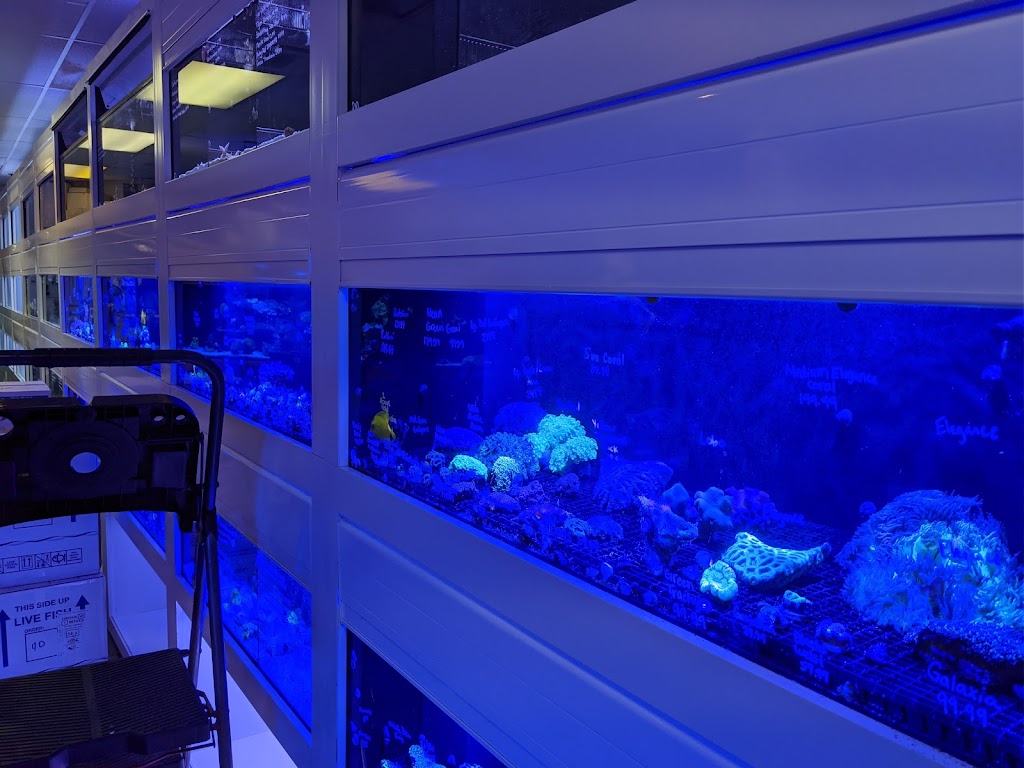 Barrier Reef Aquariums | 1717 Northeast 44th Street Behind, Ste A, Renton, WA 98056, USA | Phone: (425) 277-7670