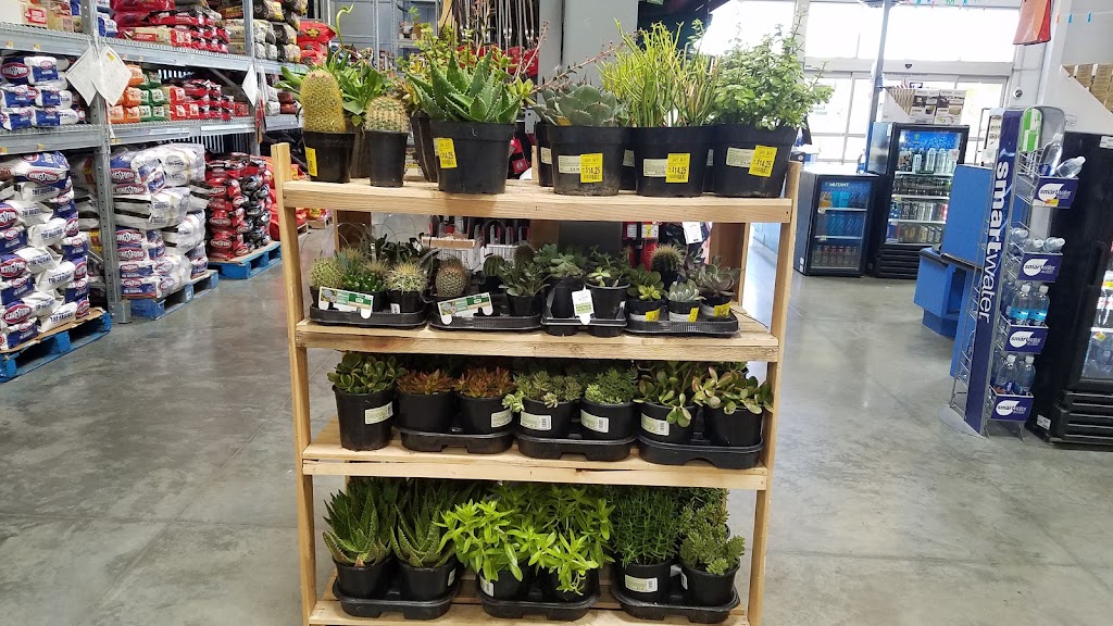 Walmart Garden Center | 1600 Westgate Dr, Lodi, CA 95242, USA | Phone: (209) 368-6696