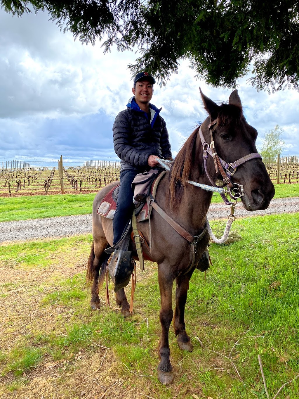 Equestrian Wine Tours | 6325 NE Abbey Rd, Carlton, OR 97111 | Phone: (503) 864-2336