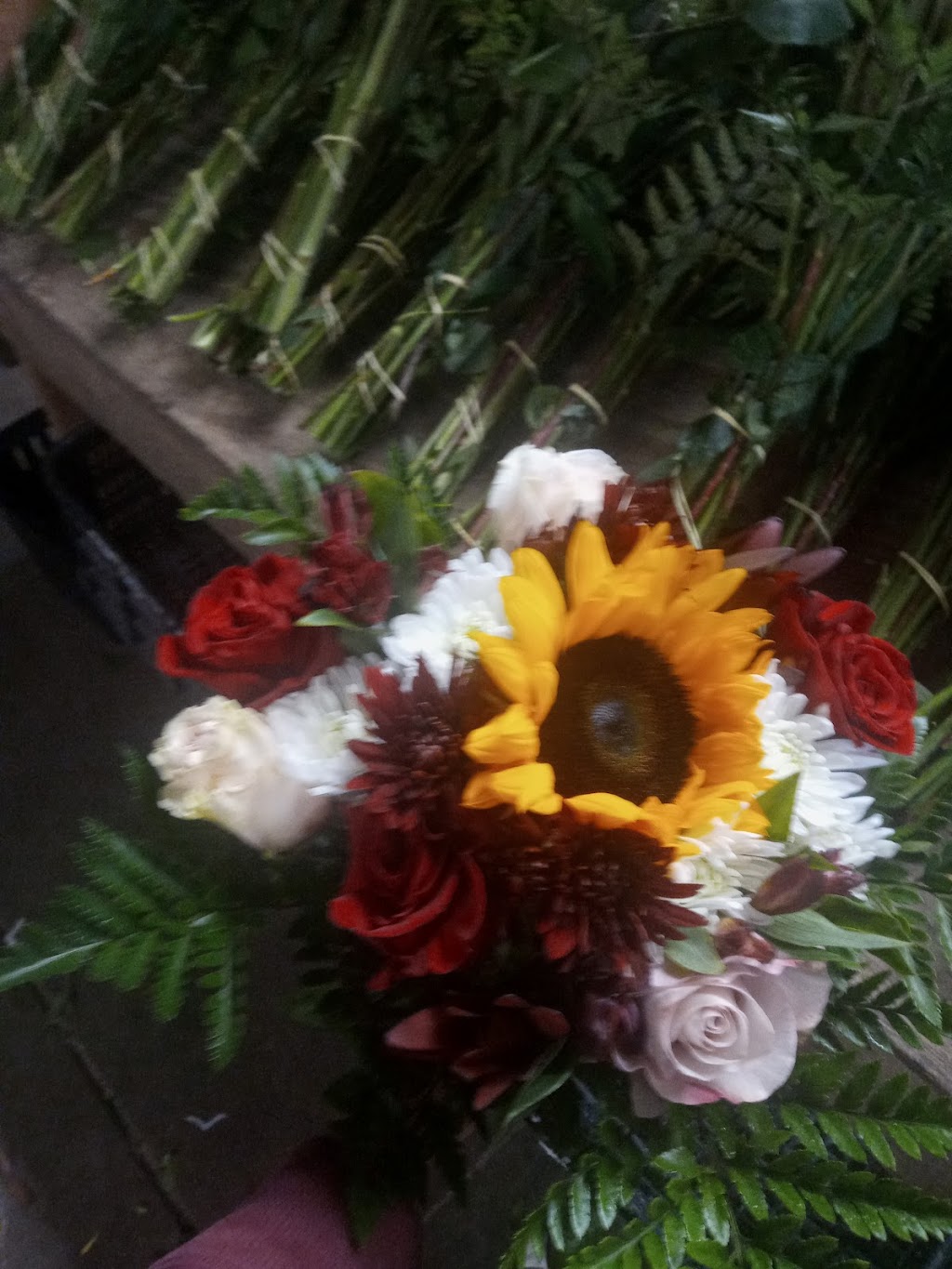 Ceasers Flower | 135 Maher Rd, Royal Oaks, CA 95076, USA | Phone: (831) 595-7949