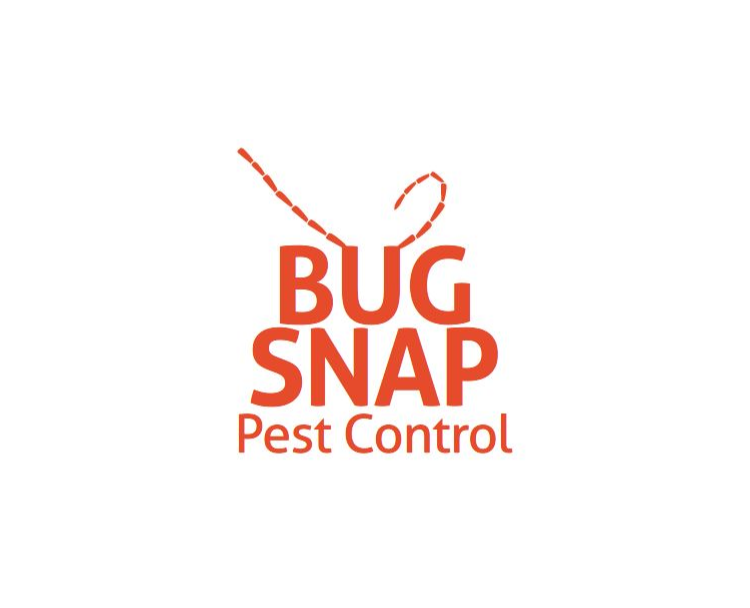 Bug snap pest control | 703 Elm St, Kearny, NJ 07032, USA | Phone: (800) 439-4048