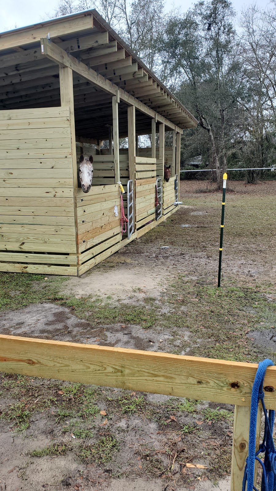 EM Equine Service | 700 Pinkney Dr, Folkston, GA 31537, USA | Phone: (919) 497-2980