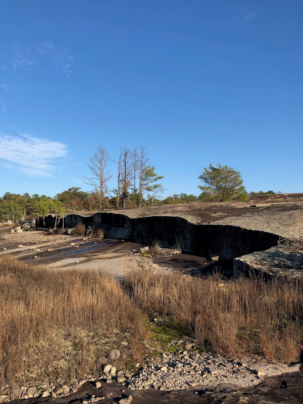 Davidson-Arabia Mountain Nature Preserve | 3787 Klondike Rd, Stonecrest, GA 30038, USA | Phone: (770) 492-5220