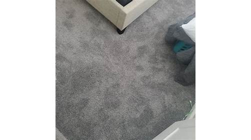 AZ Same Day Service Carpet Care | 8549 E Vía De La Escuela, Scottsdale, AZ 85258, USA | Phone: (602) 488-1568