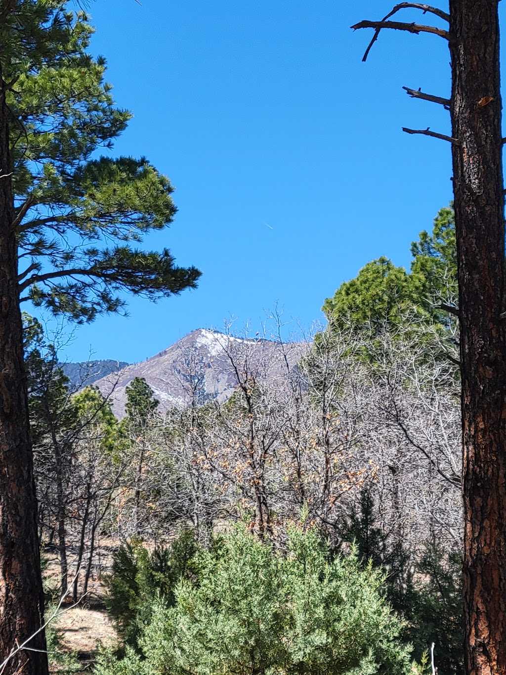 Manzano Mountains State Park | Co Rd B062, Mountainair, NM 87036, USA | Phone: (505) 469-7608