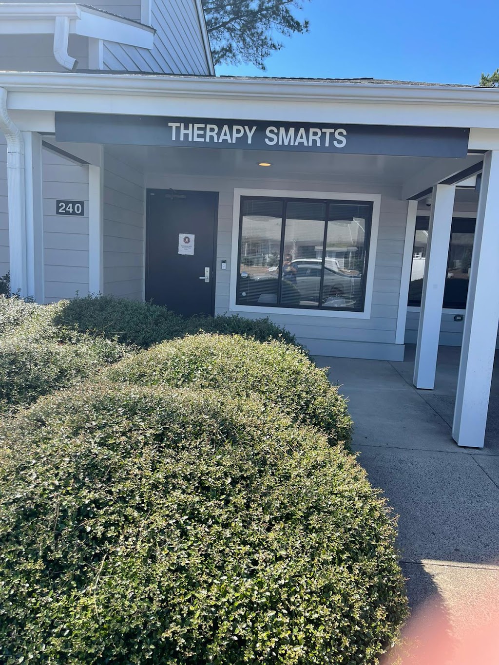 Therapy Smarts, Inc. | 1920 NC-54 STE 240, Durham, NC 27713 | Phone: (919) 378-1340