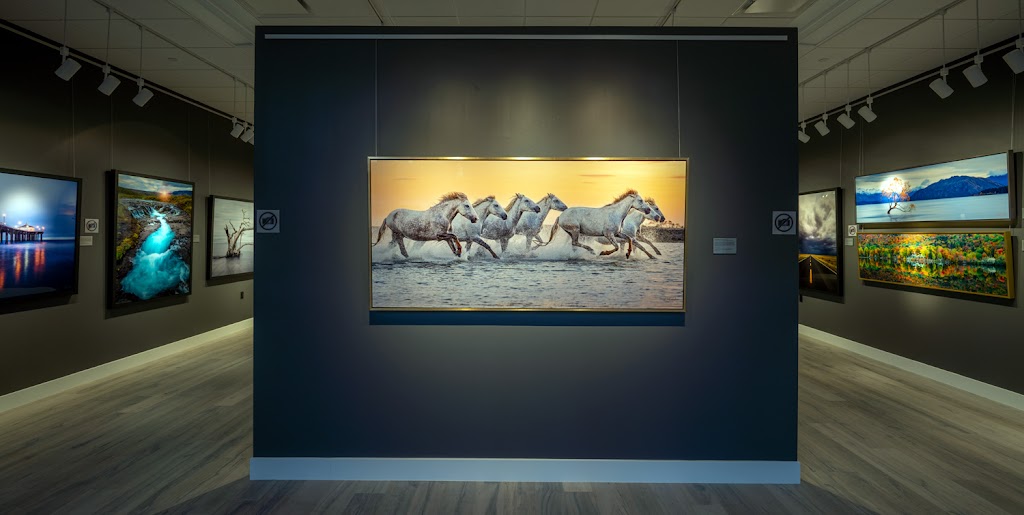 Shreve Fine Art Gallery | 6775 Cowboys Way Suite 1310, Frisco, TX 75034, USA | Phone: (469) 922-3350