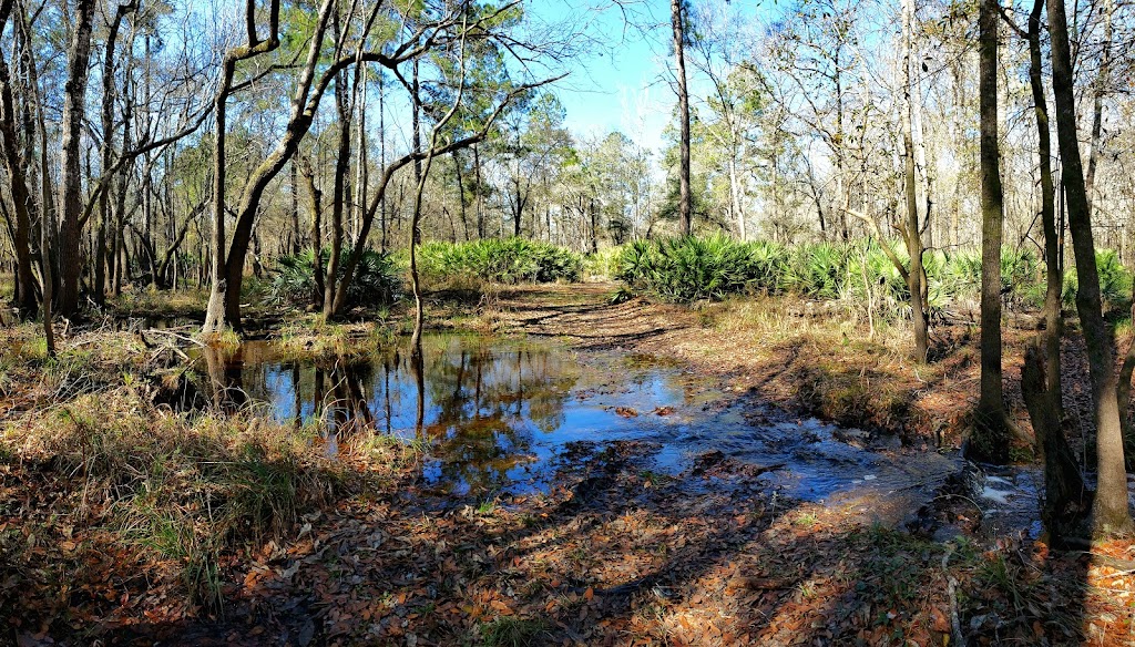 Ralph E Simmons Wildlife Management Area | 32046, Hilliard, FL 32046, USA | Phone: (904) 845-4933