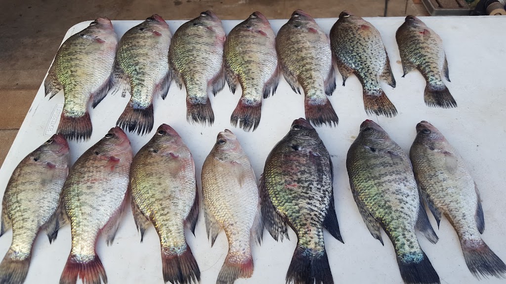 Lt. Dans Crappie Co. | 3908 Winston Dr, Denton, TX 76210, USA | Phone: (940) 300-8431