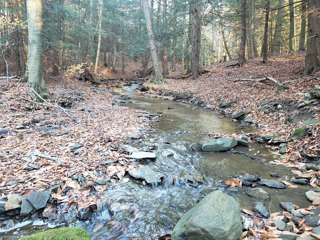 Boston Forest County Park Trailhead | Boston, NY 14025, USA | Phone: (716) 858-7037