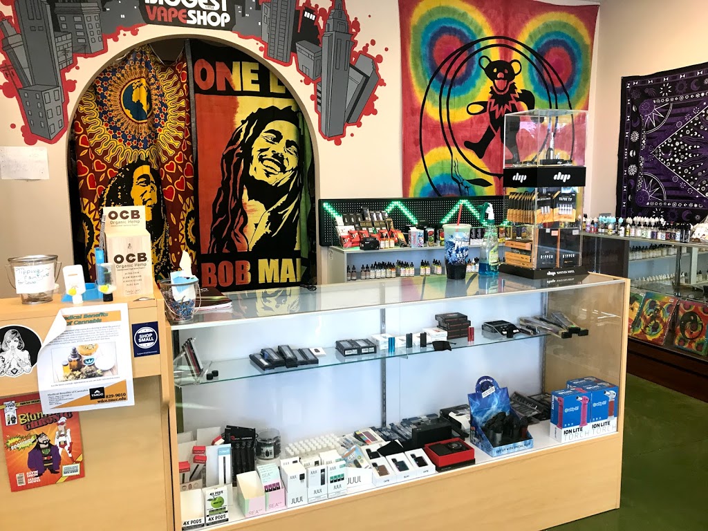 Biggest Little Vape Shop South | 1530 S Stanford Way #106, Sparks, NV 89431 | Phone: (775) 470-5130