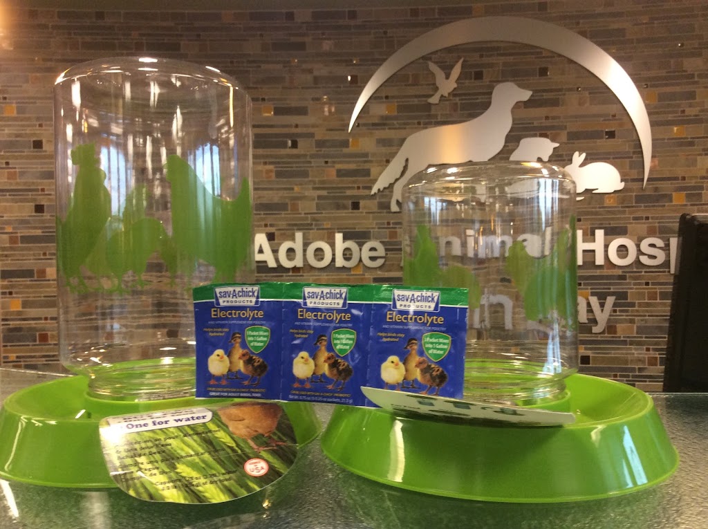 Adobe Veterinary Marketplace | 15965 Los Gatos Blvd #102, Los Gatos, CA 95032, USA | Phone: (408) 357-8008