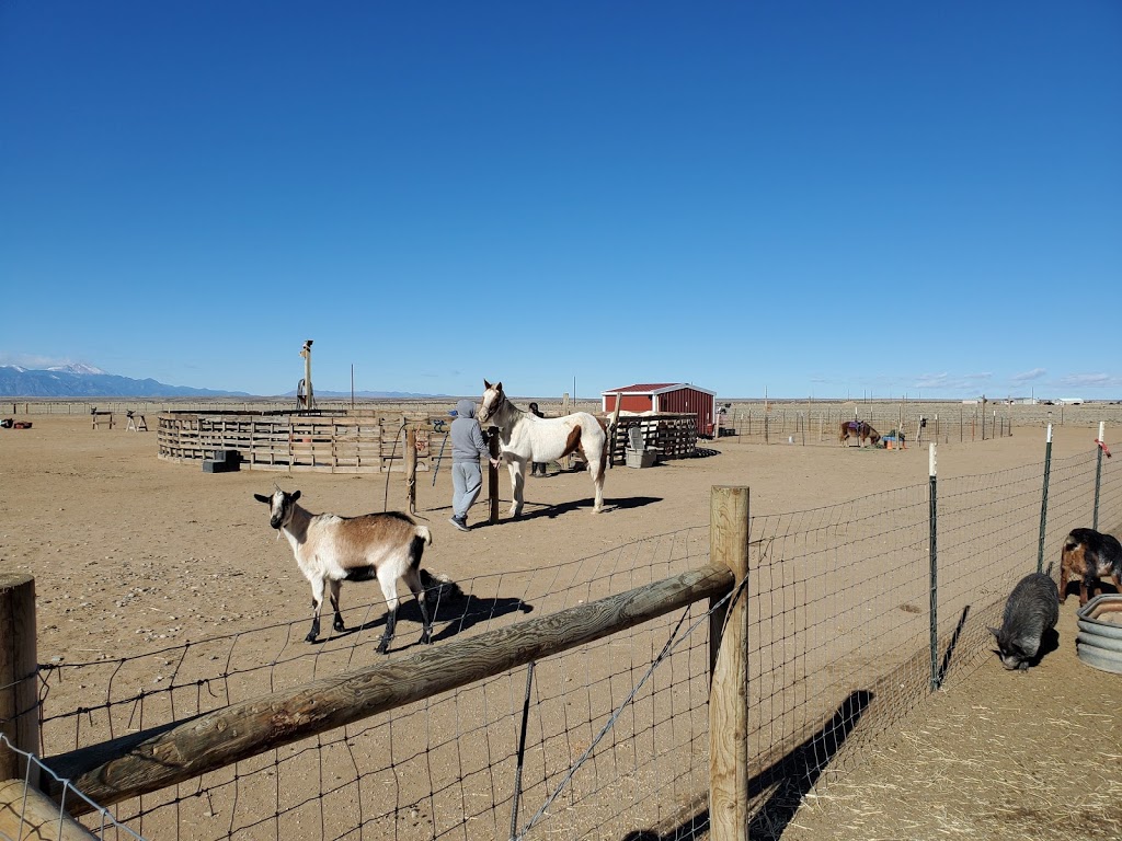 GingerSnap Rescue Ranch | 16555 De Groot Rd, Colorado Springs, CO 80928 | Phone: (719) 683-9899