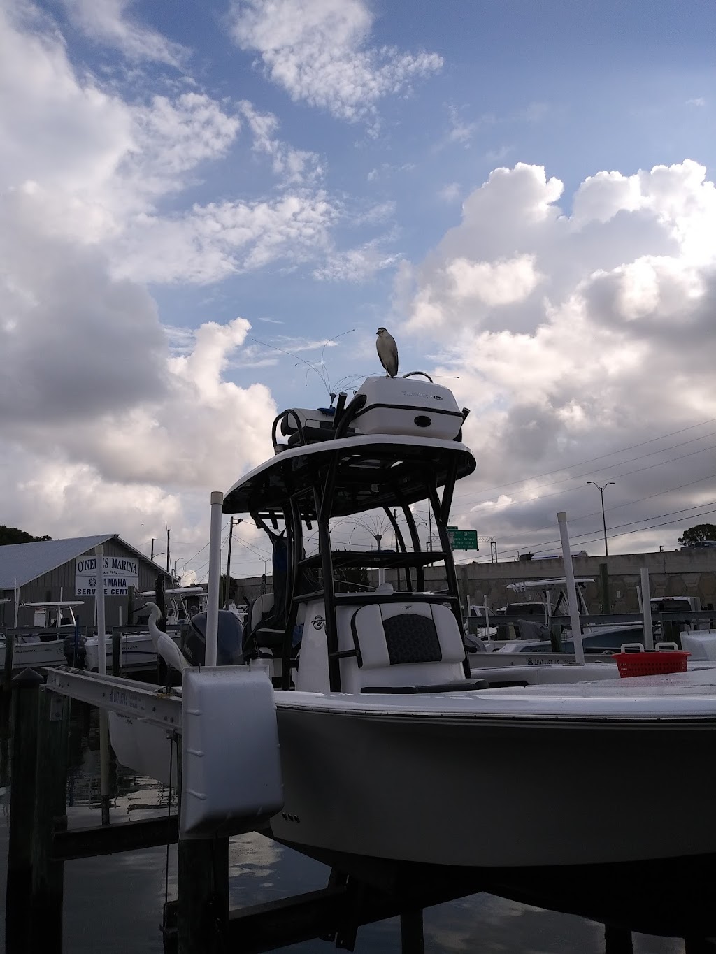 ONeills Marina | 6701 Sunshine Skyway Ln S, St. Petersburg, FL 33711, USA | Phone: (727) 867-2585