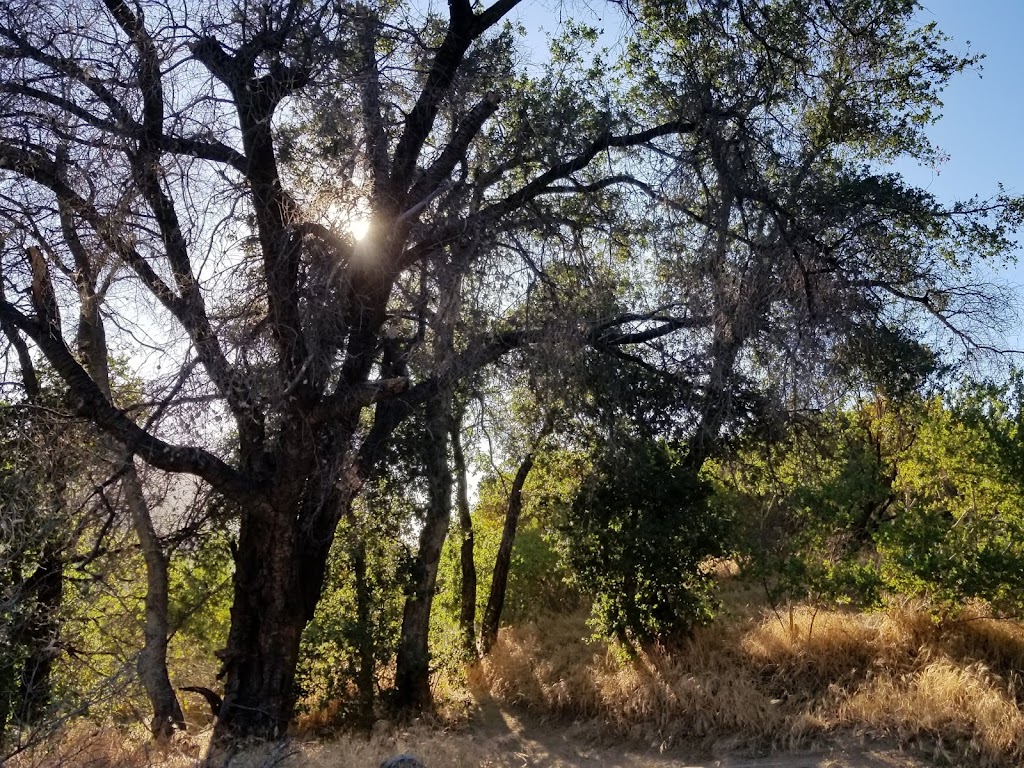 Mataguay Scout Ranch | Mataguay Rd, Santa Ysabel, CA 92070, USA | Phone: (866) 437-2272