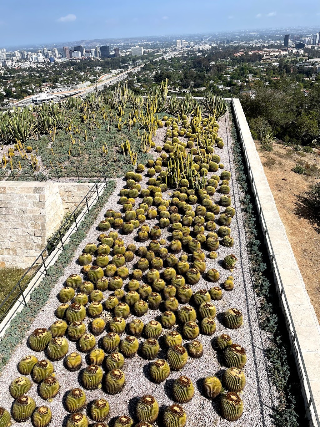 Cactus Garden | The Getty Center, 1200 Getty Center Dr, Los Angeles, CA 90049, USA | Phone: (310) 440-7300