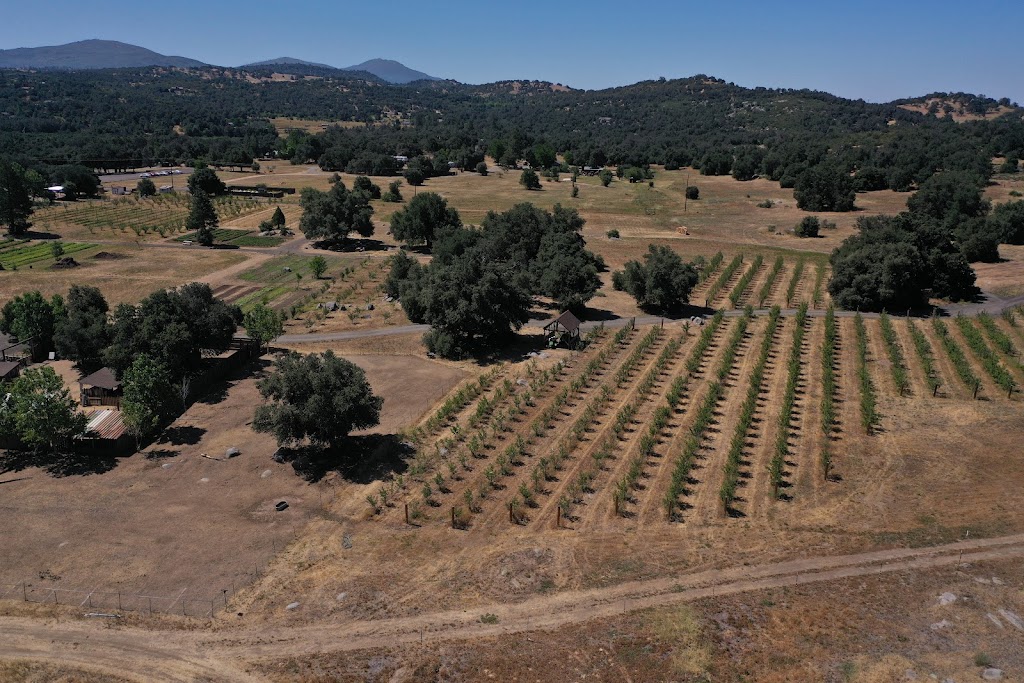 Julian Farm and Orchard | 4381 Julian Hwy, Santa Ysabel, CA 92070 | Phone: (760) 765-5494