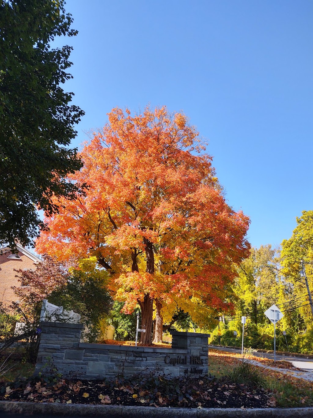 Capital Hills at Albany | 65 ONeil Rd, Albany, NY 12208, USA | Phone: (518) 438-2208