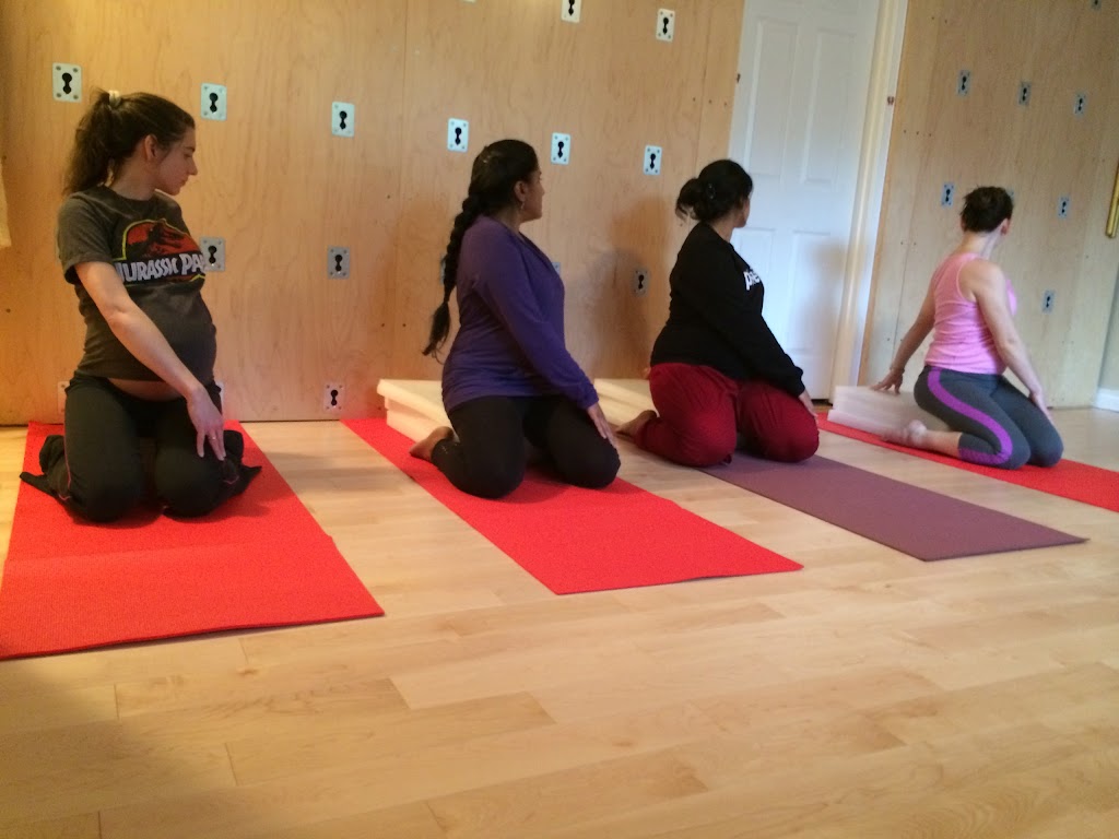 Art of Yoga and Movement | 10311 177th Ave NE, Redmond, WA 98052, USA | Phone: (425) 968-5774