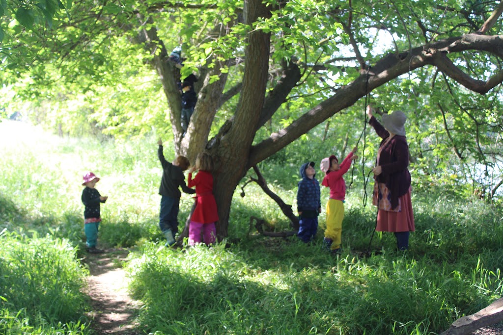 Camellia Waldorf School | 7450 Pocket Rd, Sacramento, CA 95831, USA | Phone: (916) 427-5022