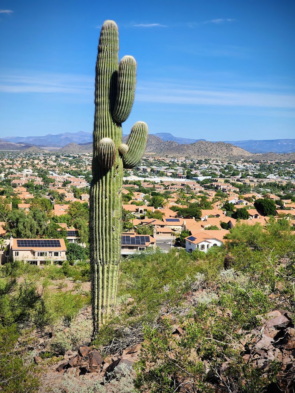 Lookout Mountain Preserve | 15800 N 16th St, Phoenix, AZ 85022, USA | Phone: (602) 262-7901