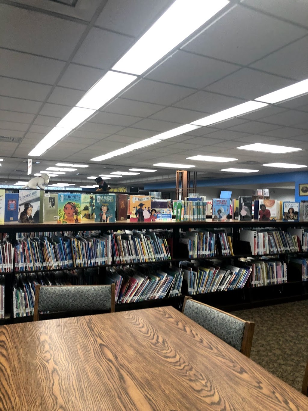 Lithia Springs Library | 7100 Turner Dr, Lithia Springs, GA 30122, USA | Phone: (770) 944-5931