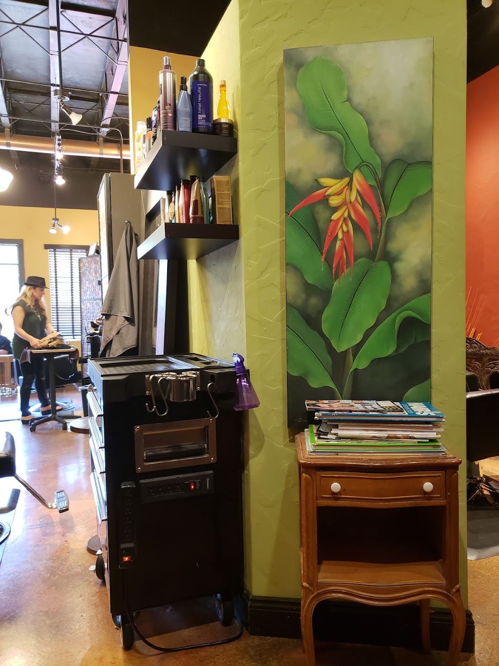 Roots Salon | 6299 Central Ave, St. Petersburg, FL 33710, USA | Phone: (727) 347-0400