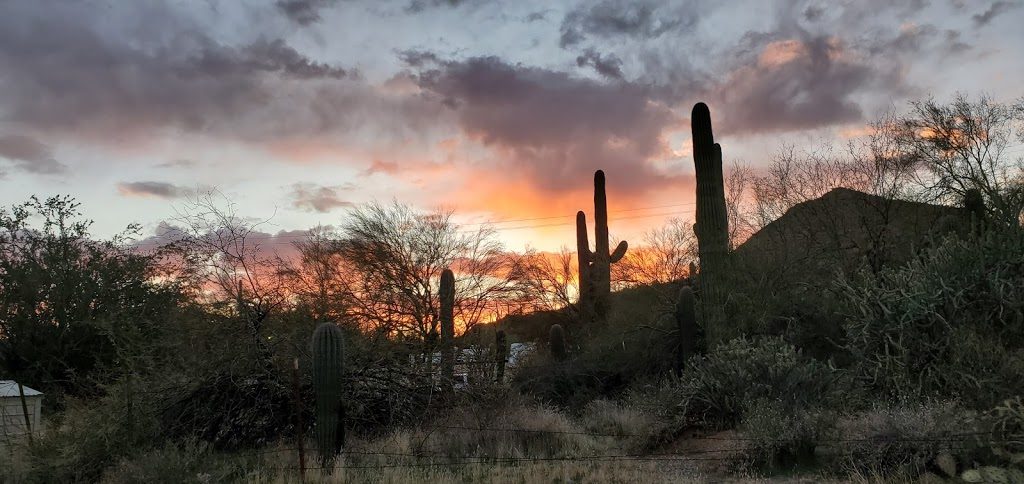 Saguaro Lake Ranch Stables | 13050 N Bush Hwy, Mesa, AZ 85215, USA | Phone: (480) 984-0335