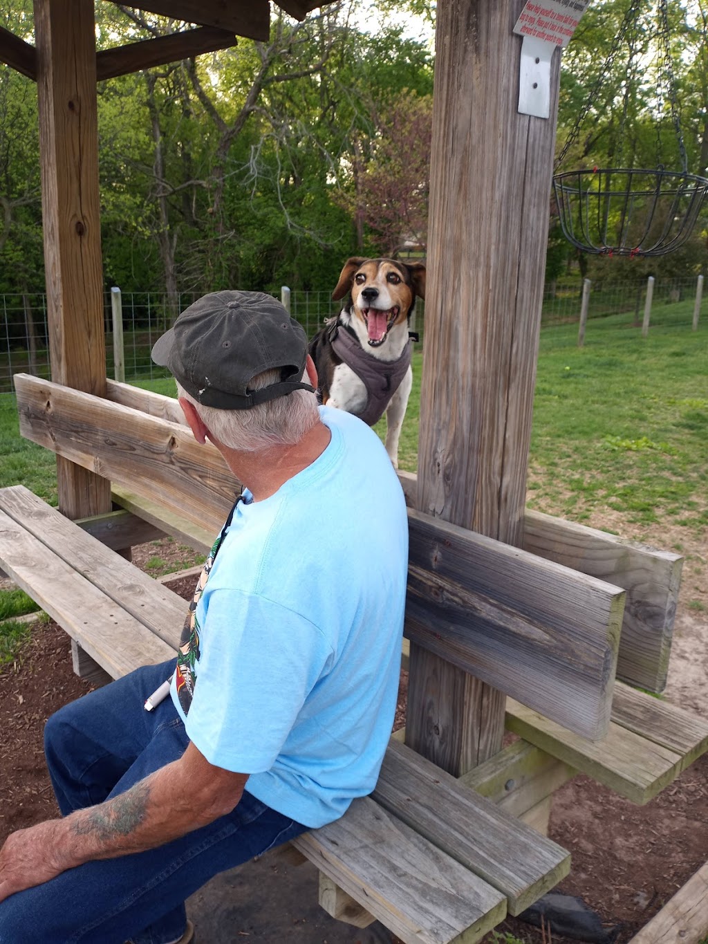 Shiloh Dog Park | 3756 Lebanon Ave, Belleville, IL 62221, USA | Phone: (618) 632-1022