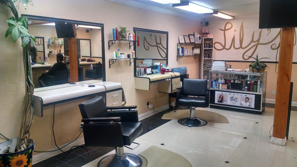 Lilys Beauty Salon | 1114 E Abram St, Arlington, TX 76010, USA | Phone: (682) 716-2971