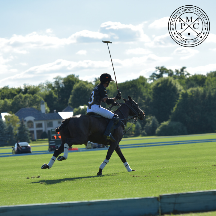 Meadow Brook Polo Club | 50 Whitney Ln, Old Westbury, NY 11568, USA | Phone: (516) 231-8886