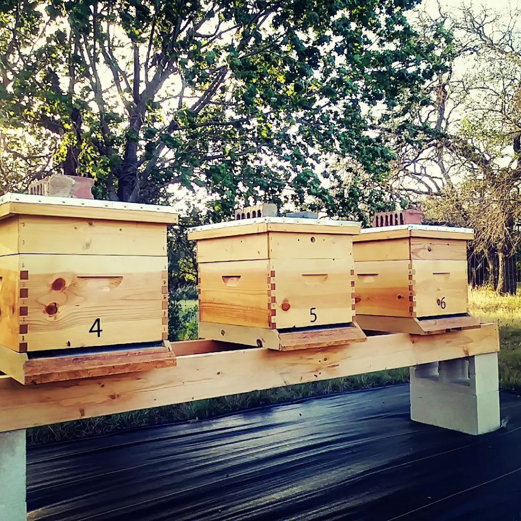 Wimberley Honeybees & Berries Farm | 4000 Mt Sharp Rd, Wimberley, TX 78676, USA | Phone: (757) 748-3568