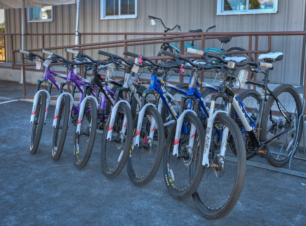 Black Rock Bicycles | 7875 N Virginia St, Reno, NV 89506 | Phone: (775) 972-3336