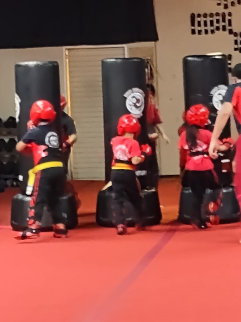 Red Dragon Karate San Dimas | 146 E Bonita Ave, San Dimas, CA 91773 | Phone: (909) 599-3400