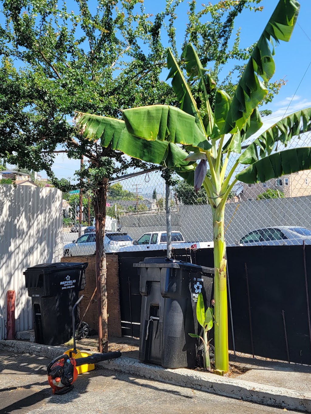 Smog Check Star | 3376 City Terrace Dr, Los Angeles, CA 90063, USA | Phone: (323) 261-5414