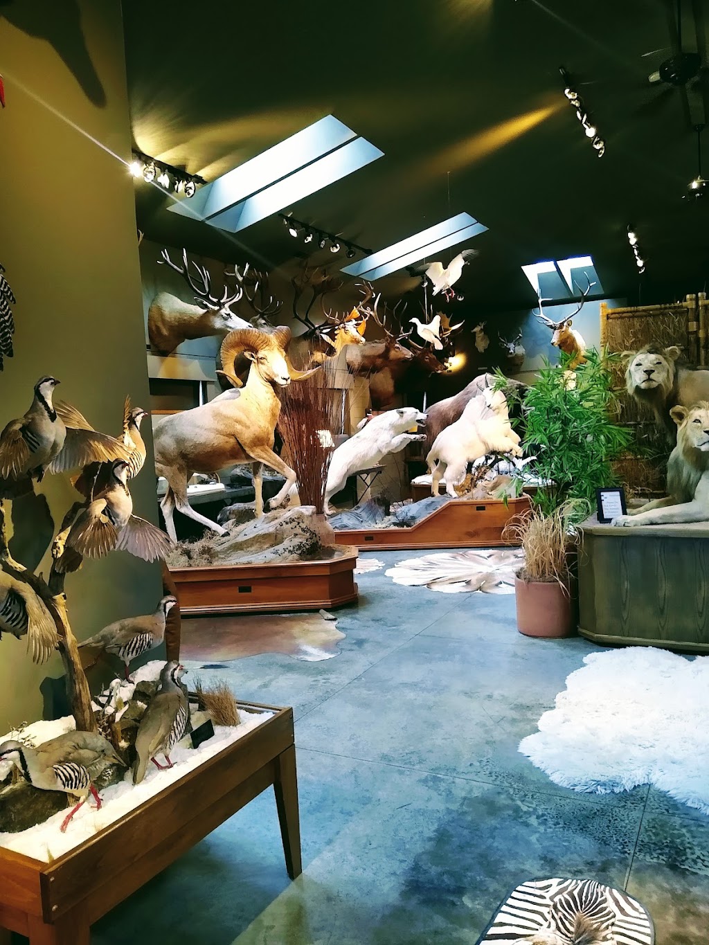 Wendel Museum of Animal Conservation | 8303 SE Evergreen Hwy, Vancouver, WA 98664, USA | Phone: (360) 241-9646