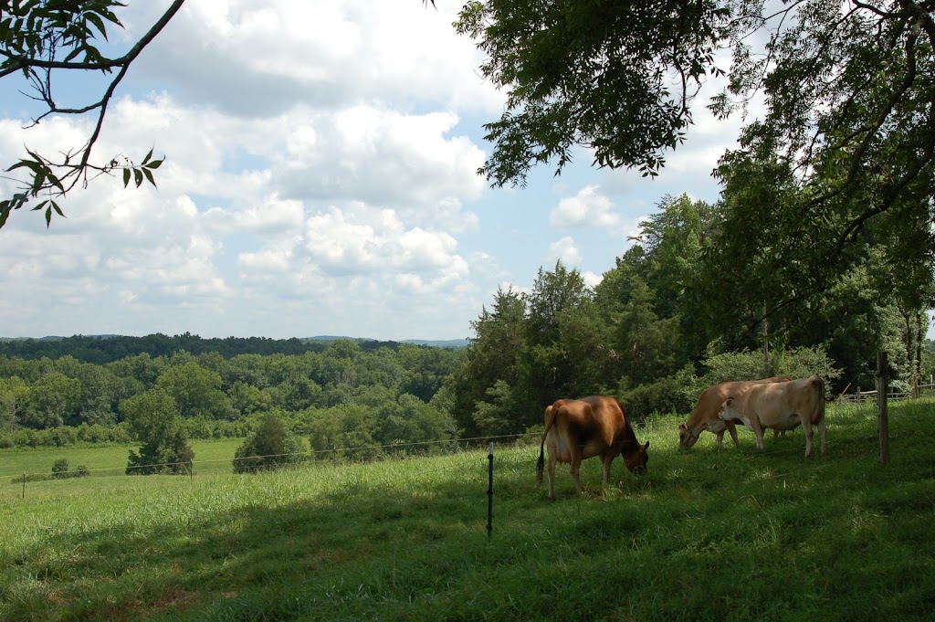 Uwharrie Farm | 4658 Waynick Meadow Rd, Asheboro, NC 27205, USA | Phone: (336) 857-2775