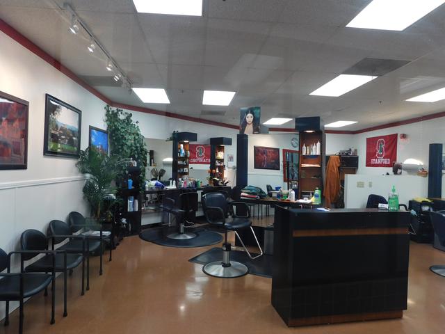 Stanford Hair | 459 Lagunita Dr Suite 3, Stanford, CA 94305, USA | Phone: (650) 853-9659