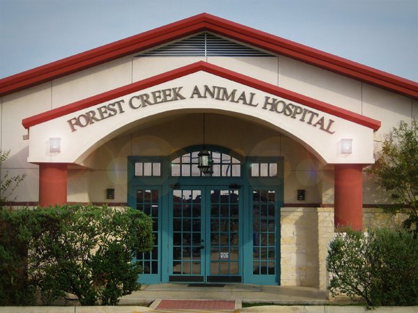 Forest Creek Animal Hospital | 2715 Red Bud Ln, Round Rock, TX 78664, USA | Phone: (512) 238-7387